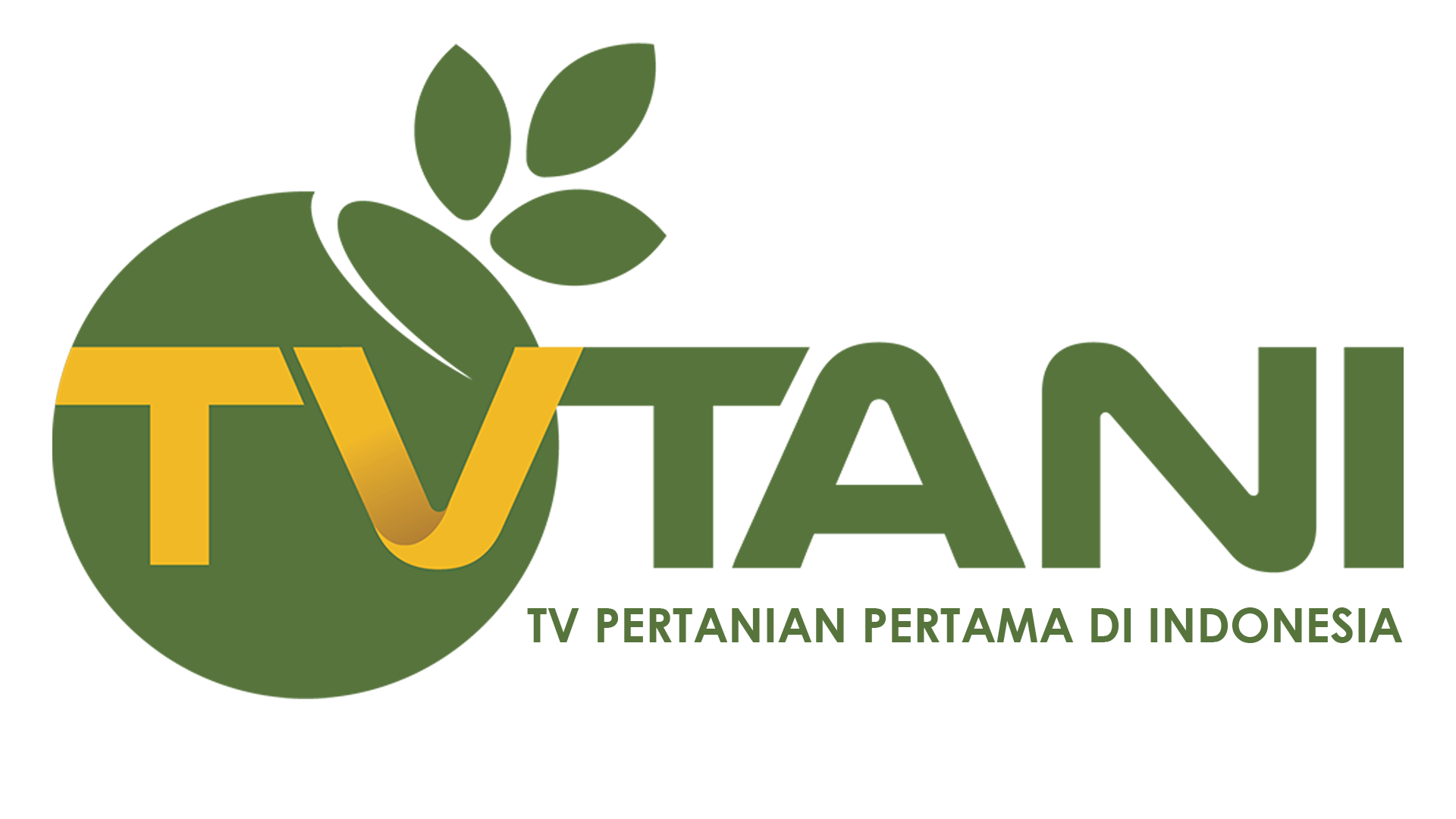 TV Tani